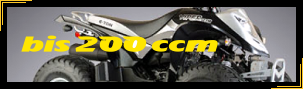 Quad Versand bis 200 ccm