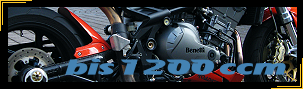 Motorrad Zweirad Transport bis 1200 ccm