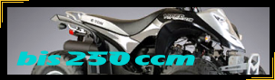 Quad Versand bis 250 ccm